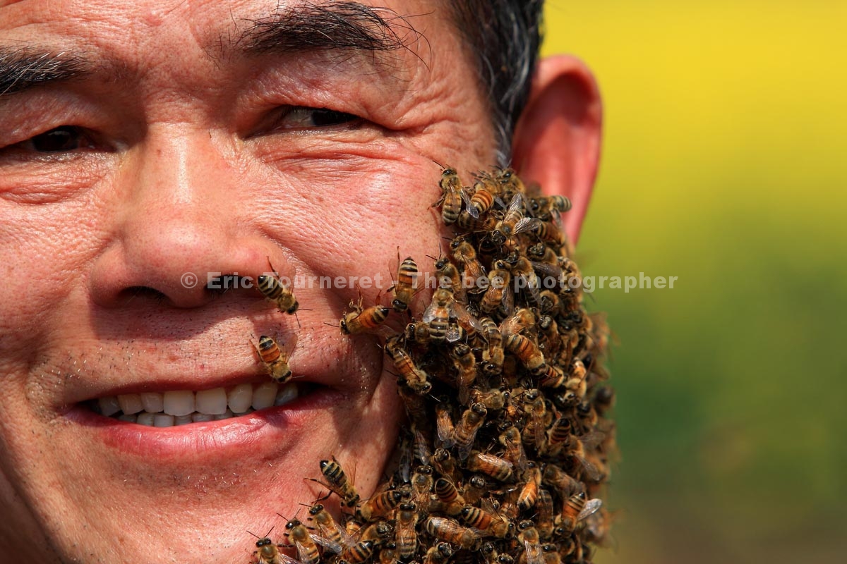 Chine&nbsp;: la plus grande fête d’apiculture du monde