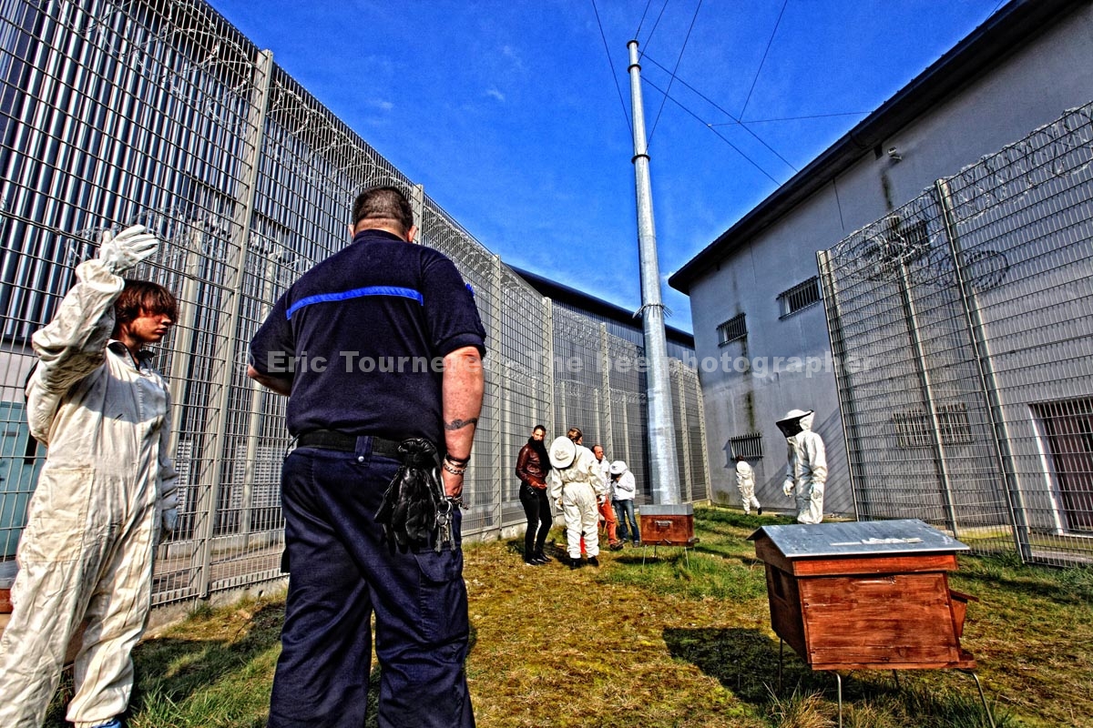 France&nbsp;: 100 000 abeilles en prison