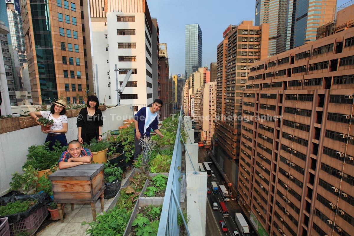Hong Kong, apiculture urbaine