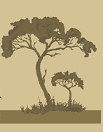 Natural Beekeeping Australia Logo Right