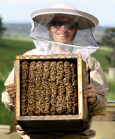 Natural Beekeeping Australia Warr&eacute; Beehives Tim Malfroy